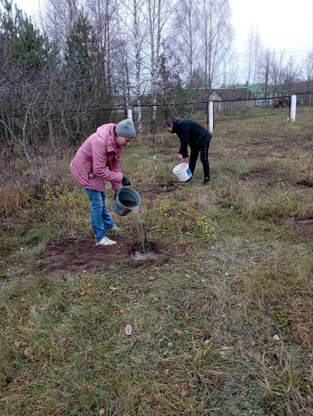 Пасадзім дрэва разам